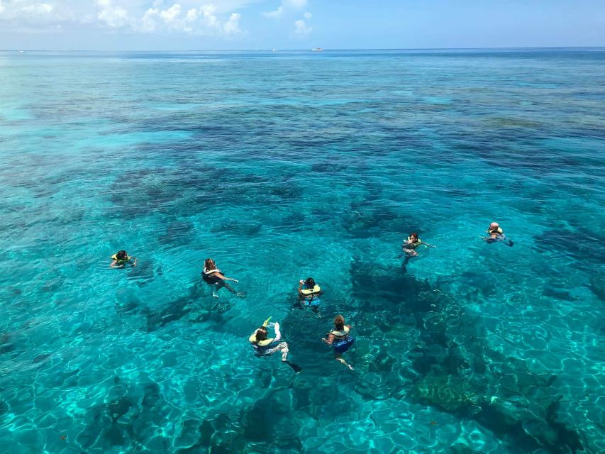 Key West: Dolphin Watching and Snorkeling Sunset Cruise - Booking and Cancellation Policy