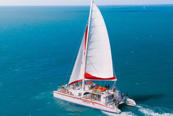 Key West: Dolphin Watching Cruise & Snorkeling Unlimited Beer & Soda - Customer Reviews