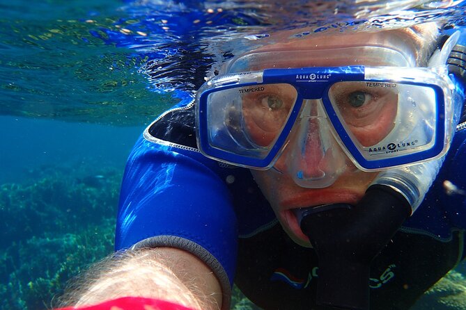 Key West: Dolphin Watching Cruise & Snorkeling Unlimited Beer & Soda - Included Activities