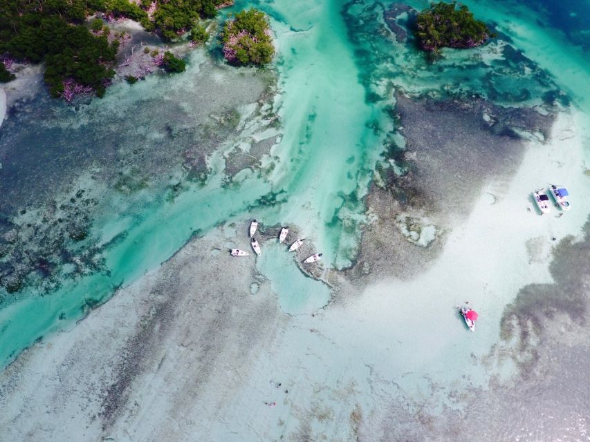Key West: Eco Safari Sandbar Tour With Snorkeling - Guided Sandbar Exploration