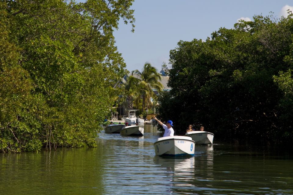 Key West: Eco Safari Sandbar Tour With Snorkeling - Snorkeling Gear Included