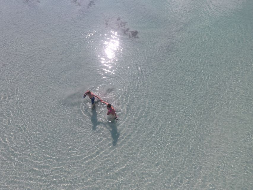 Key West: Eco Safari Sandbar Tour With Snorkeling - Key West Backcountry Sights