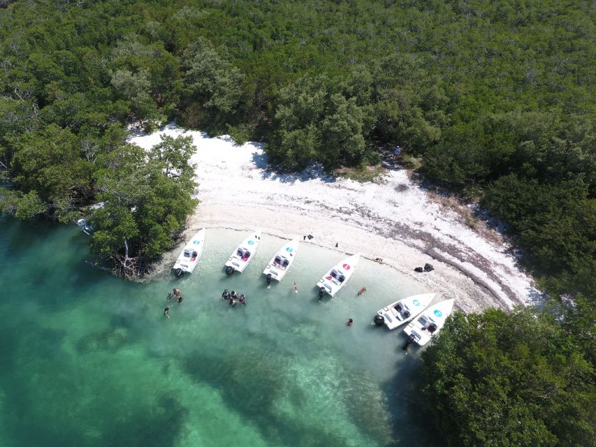 Key West: Eco Safari Sandbar Tour With Snorkeling - Meeting Point and Requirements