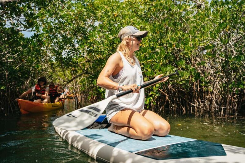 Key West: Hidden Sanctuary Kayak Tour with Sandbar Safari - Who Will Love This Tour?