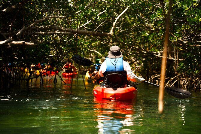 Key West Hidden Sanctuary Mangrove Kayak Tour With Drinks - The Full Experience: A Detailed Look