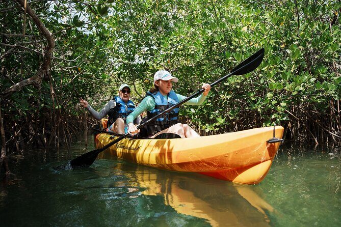 Key West Hidden Sanctuary Mangrove Kayak Tour With Drinks - The Sandbar Stop at Jewfish Basin