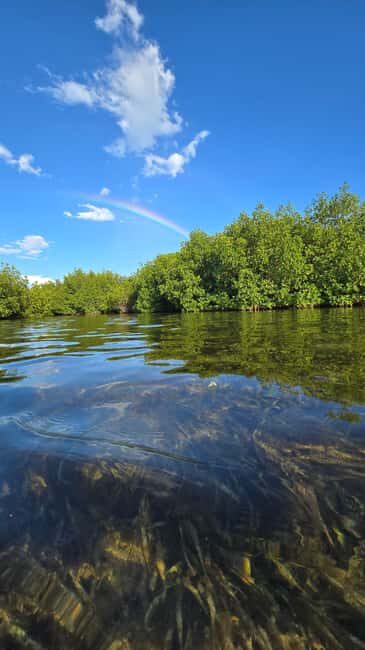 Key West: Kayak or Paddleboard Rental - The Sum Up