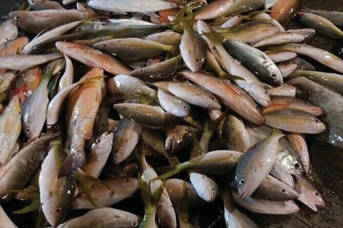 Key West Night Fishing Head Boat Fishing Trip - The Experience: What To Expect