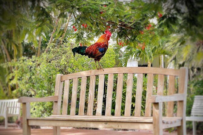 Key West Odyssey: Uncover Island Secrets, Walk by Locals - A Detailed Look at the Key West Odyssey Tour