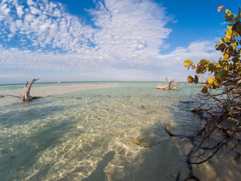 Key West: Private Boat Charter with Captain - Introduction