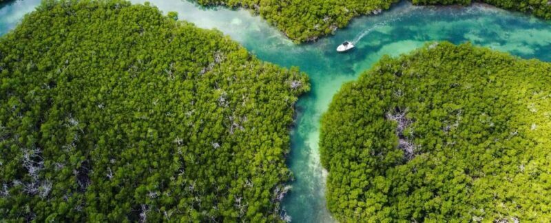 Key West: Private Boat Charter with Captain - Key Points