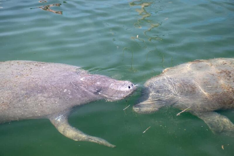 Key West: Private Boat Charter with Captain - Analyzing the Cost and Experience