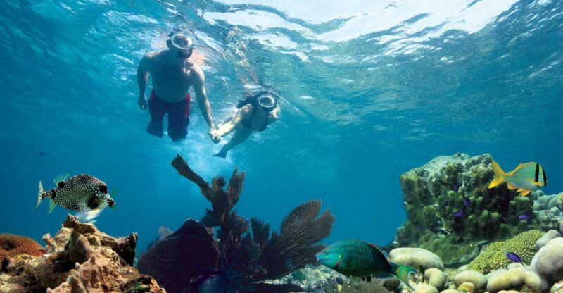 Key West: Reef Snorkeling with Drinks and Sunset Option - Key Points