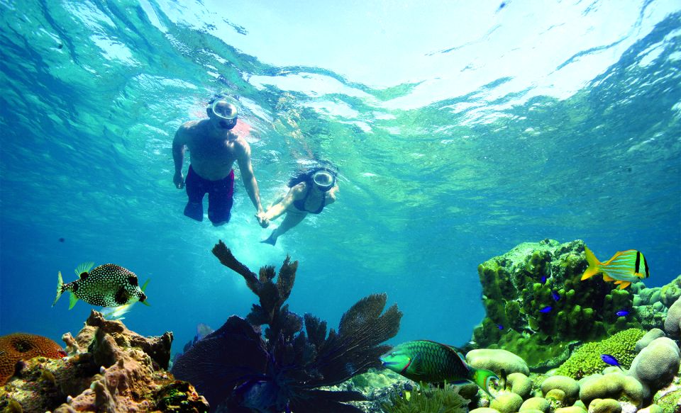 Key West: Rum and Reggae Afternoon Snorkel and Sunset - Reggae Music and Rhythms
