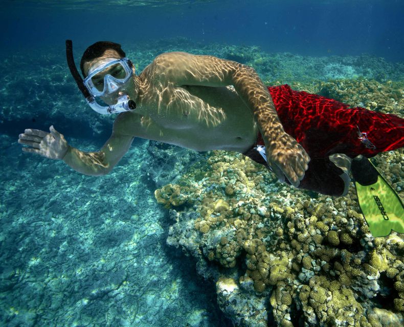 Key West: Rum and Reggae Afternoon Snorkel and Sunset - Gratuities and Exclusions