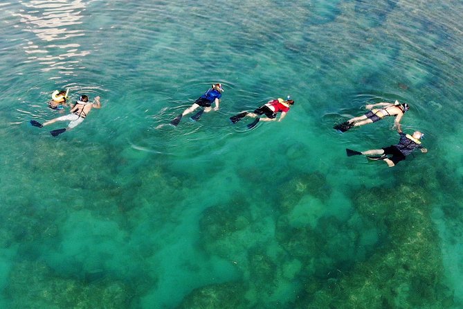 Key West Snorkeling With Breakfast and Unlimited Mimosas - Customer Ratings and Feedback