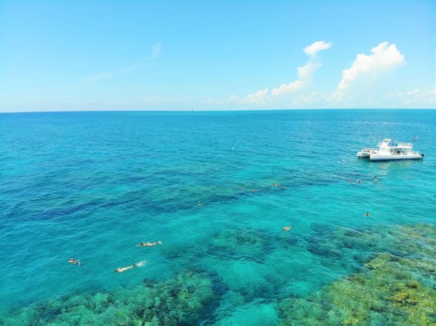 Key West: Sunset Snorkel Cruise With Draft Beer & Wine - Inclusions