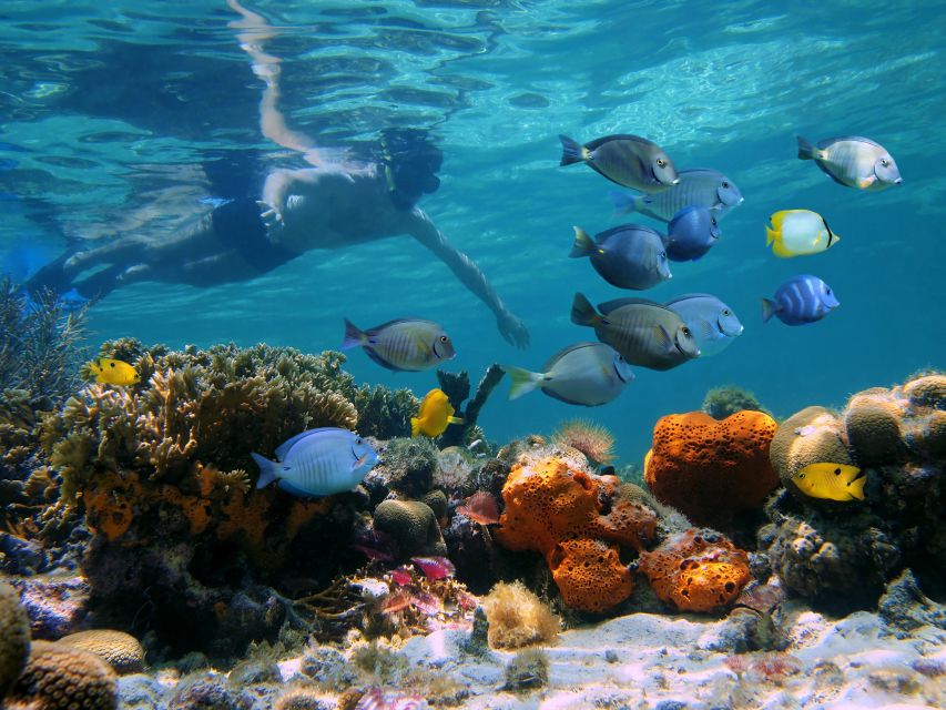Key West: Sunset Snorkel Cruise With Draft Beer & Wine - Meeting Point