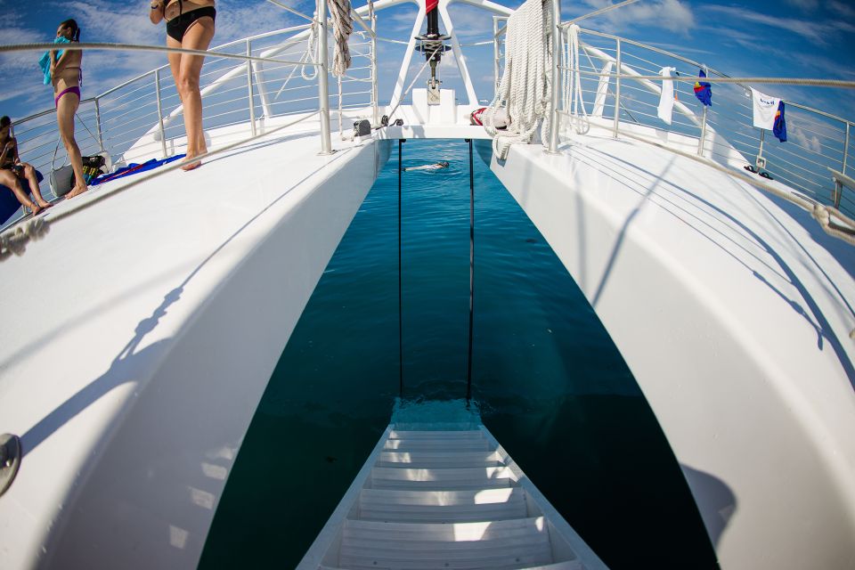 Key West: Sunset Snorkel Cruise With Draft Beer & Wine - Snorkel Experience
