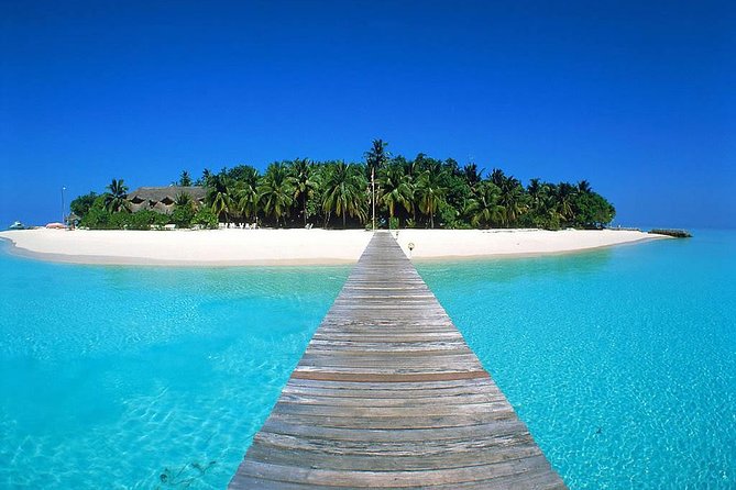 Key West Tour From Miami Private - Experience the Glass-Bottom Boat Tour