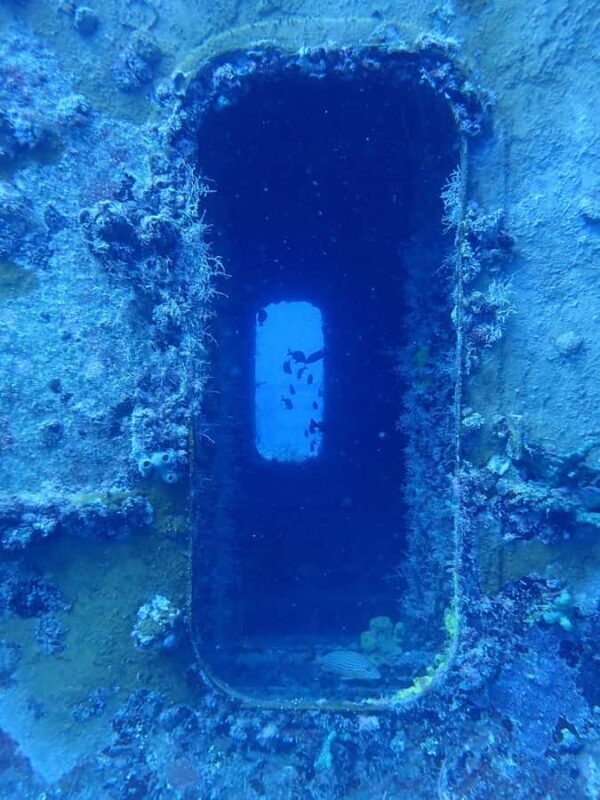 Key West: Vandenberg Wreck Dive - Why This Tour Is a Solid Choice