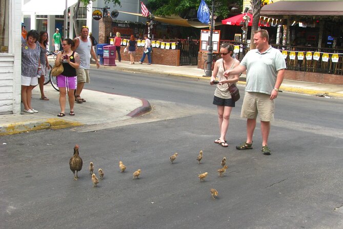 Key West's Old Town Treasures: A Self-Guided Audio Tour - Traveler Experiences and Reviews
