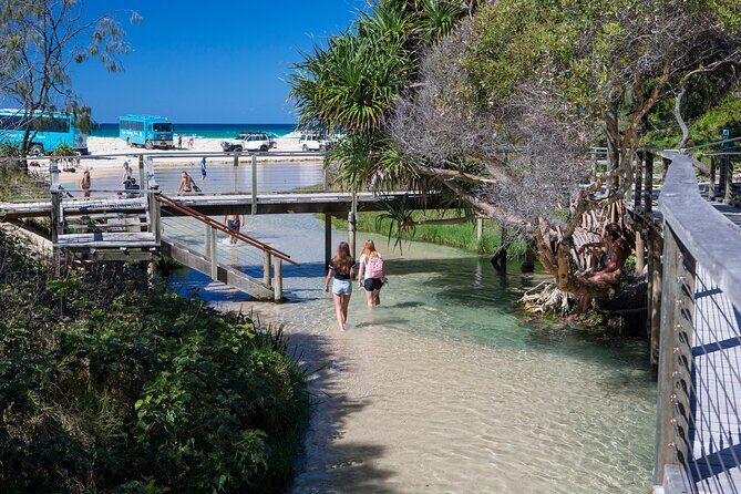 K'gari (Fraser Island) All Inclusive Day Tour - Why Travelers Rave About This Tour