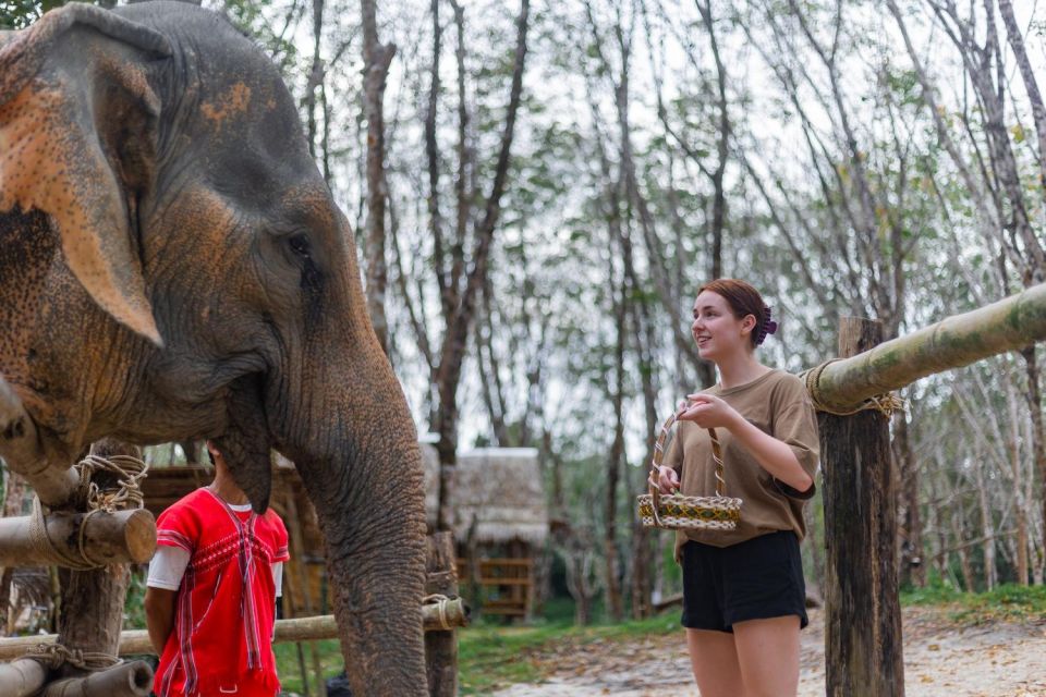 Khao Lak: 1-Hour Elephant Sanctuary Eco-Journey With Shuttle - Feeding the Elephants