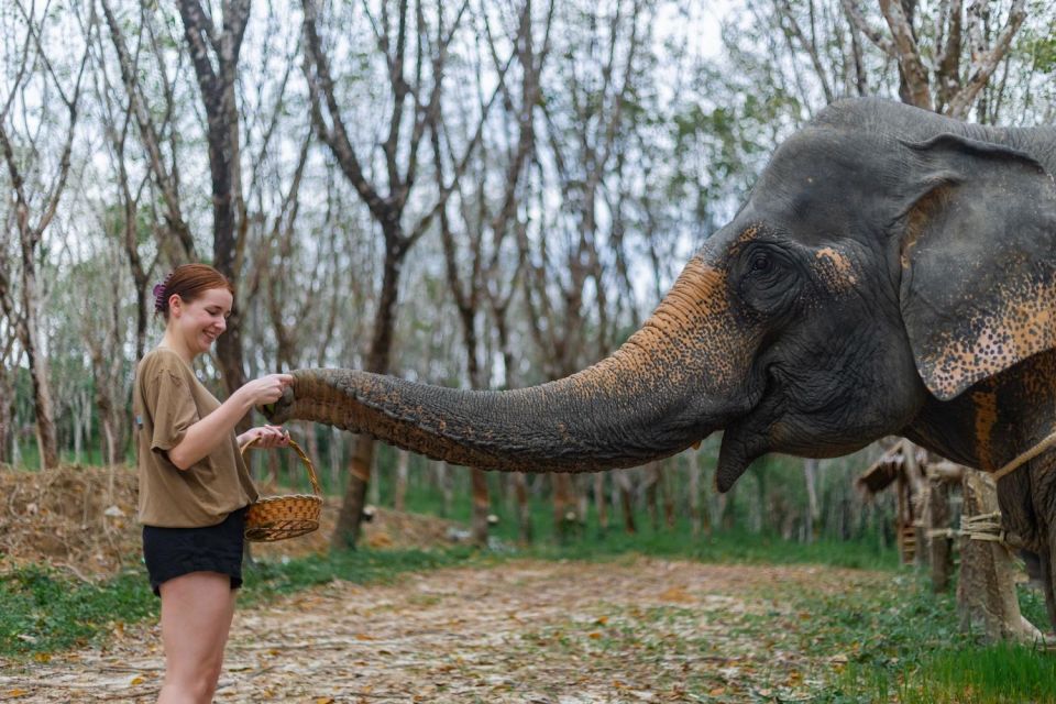 Khao Lak: 1-Hour Elephant Sanctuary Eco-Journey With Shuttle - Pricing and Reservations
