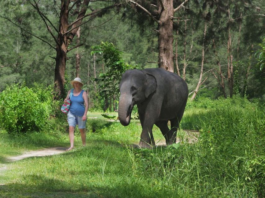Khao Lak: Bamboo Rafting, Elephants, and Turtle Center Tour - Key Points