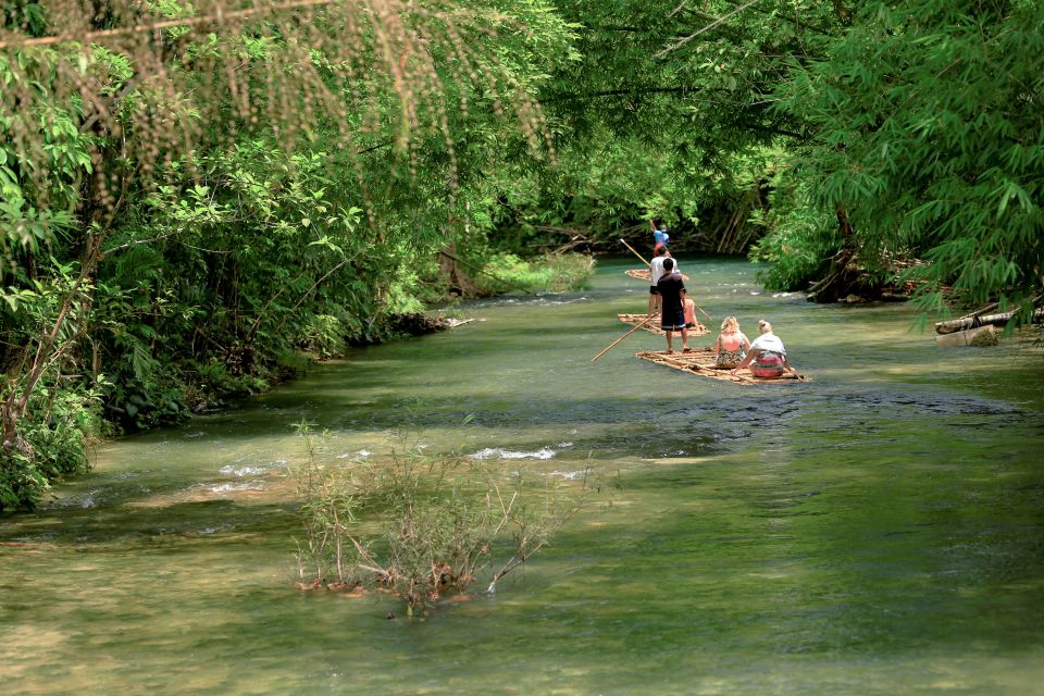 Khao Lak: Bamboo Rafting, Elephants, and Turtle Center Tour - Learning About Elephants