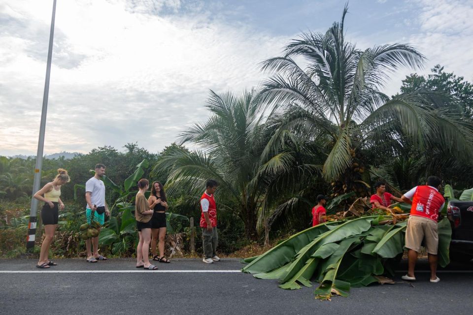 Khao Lak Eco Safari: Elephant Sanctuary Small Group Tour - Itinerary