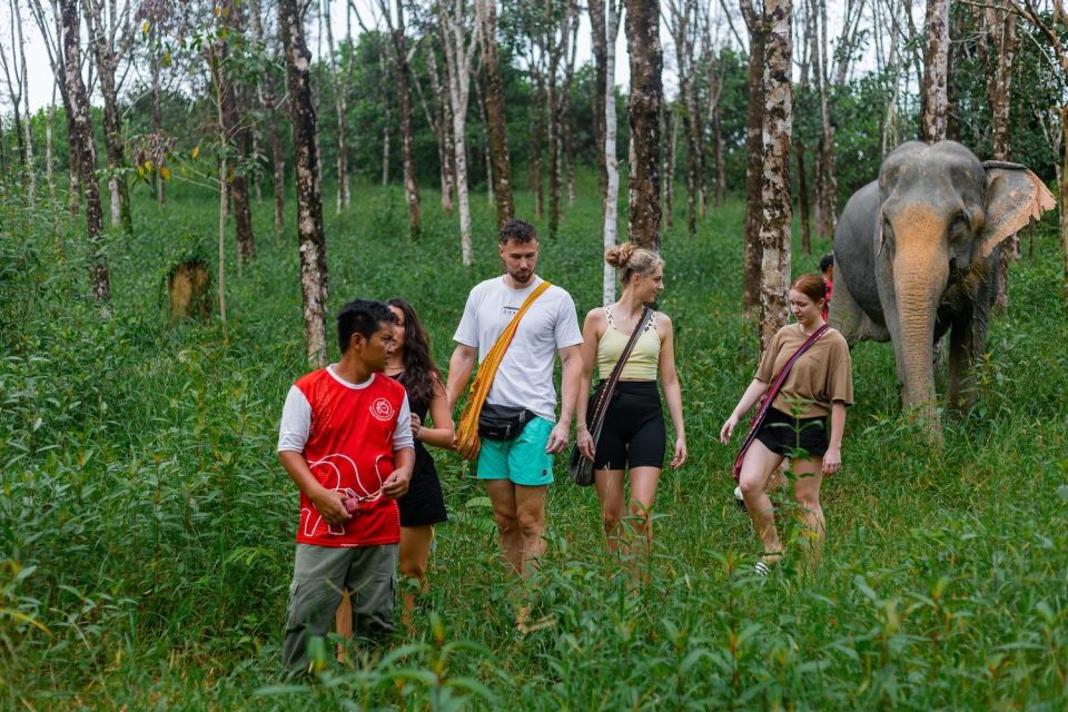Khao Lak Eco Safari: Elephant Sanctuary Small Group Tour - Elephant Sanctuary Visit