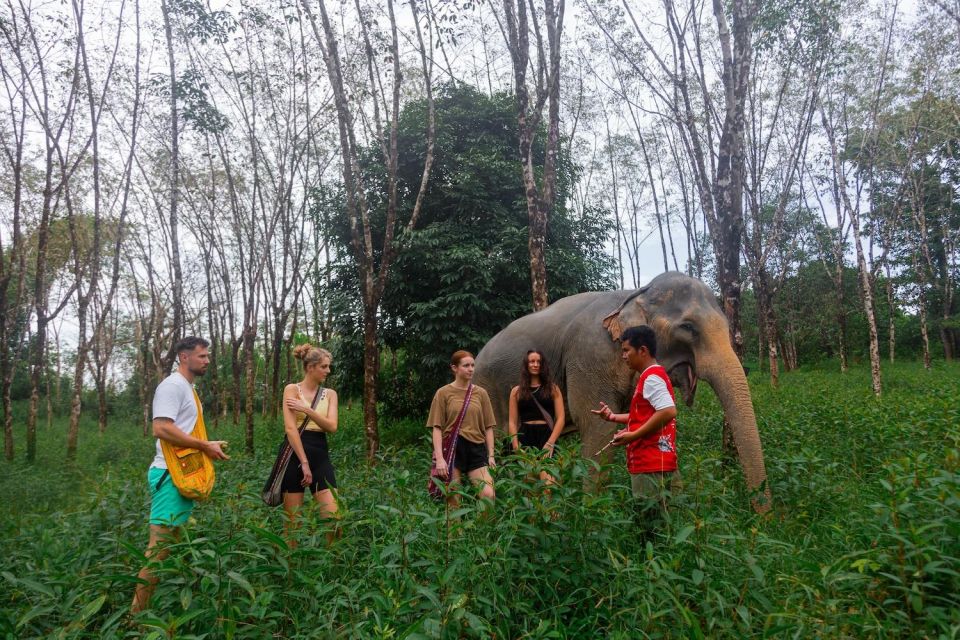 Khao Lak Eco Safari: Elephant Sanctuary Small Group Tour - Interaction With Elephants