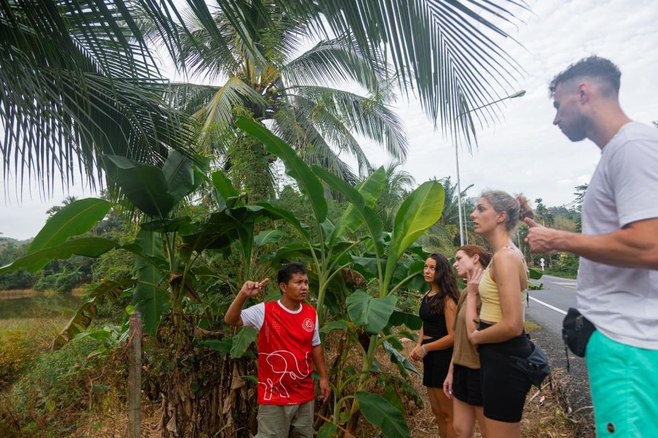 Khao Lak Eco Safari: Elephant Sanctuary Small Group Tour - Frequently Asked Questions