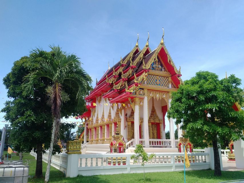 Khao Lak Eco-Safari: Elephants, Tsunami Museum, and Turtles - Elephant Experience