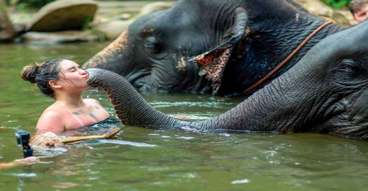 Khao Lak: Elephant Safari With Lunch - Bamboo Rafting Adventure