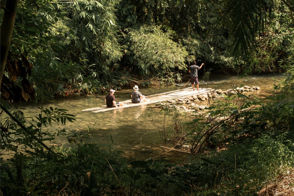 Khao Lak: Elephant Safari With Lunch - Exotic Wildlife Sightings