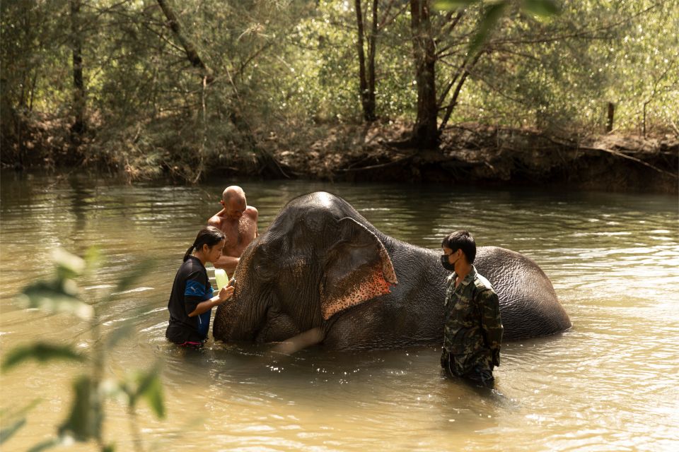 Khao Lak: Elephant Safari With Lunch - Frequently Asked Questions