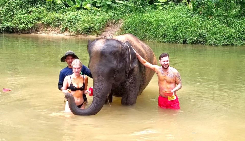 Khao Lak: Elephant Sanctuary Guided Tour - Interacting and Feeding the Elephants