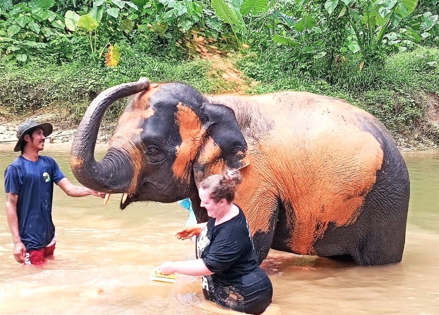 Khao Lak: Elephant Sanctuary Guided Tour - Bathing the Elephants in the River