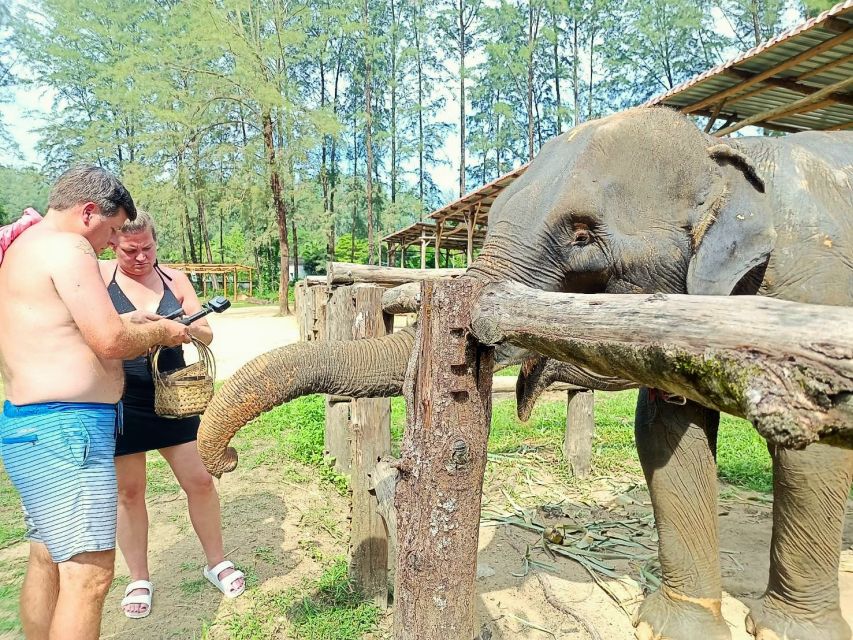 Khao Lak: Elephant Sanctuary Guided Tour - Guided Tour With Knowledgeable Guides