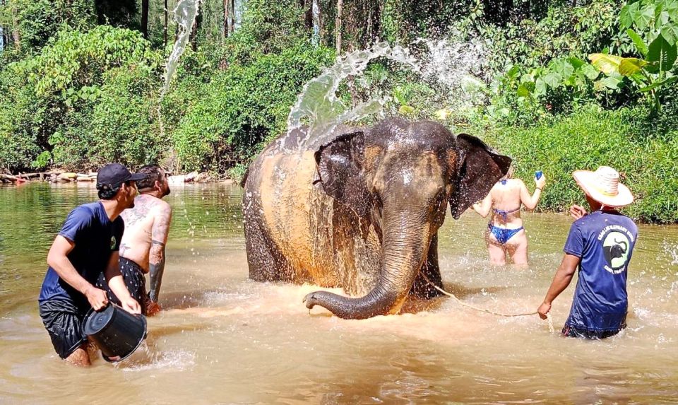 Khao Lak: Elephant Sanctuary Guided Tour - Elephant Diet and Health Insights