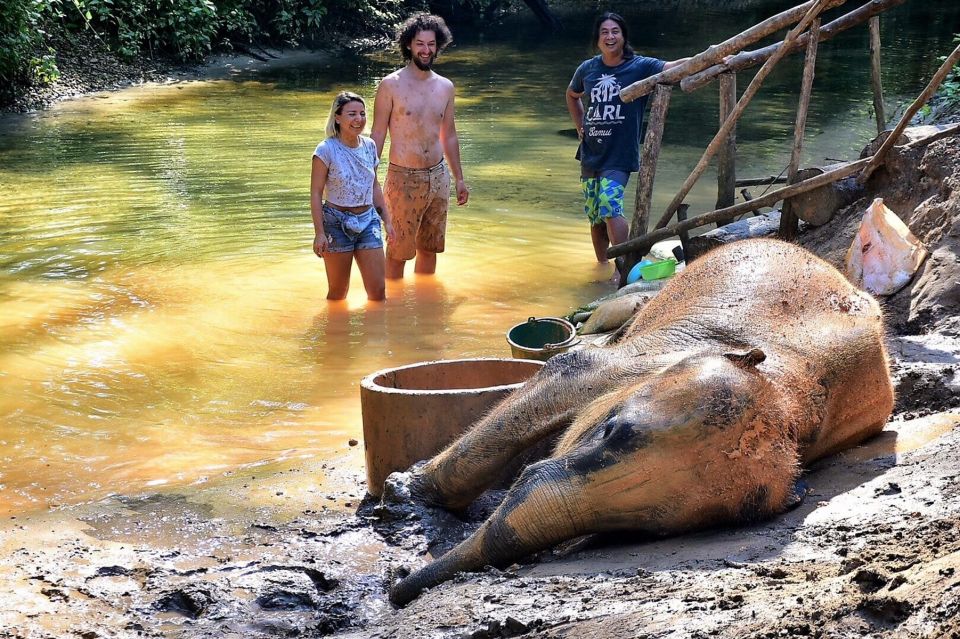 Khao Lak: Elephant Sanctuary Guided Tour - Observing Elephant Behavior and Routines