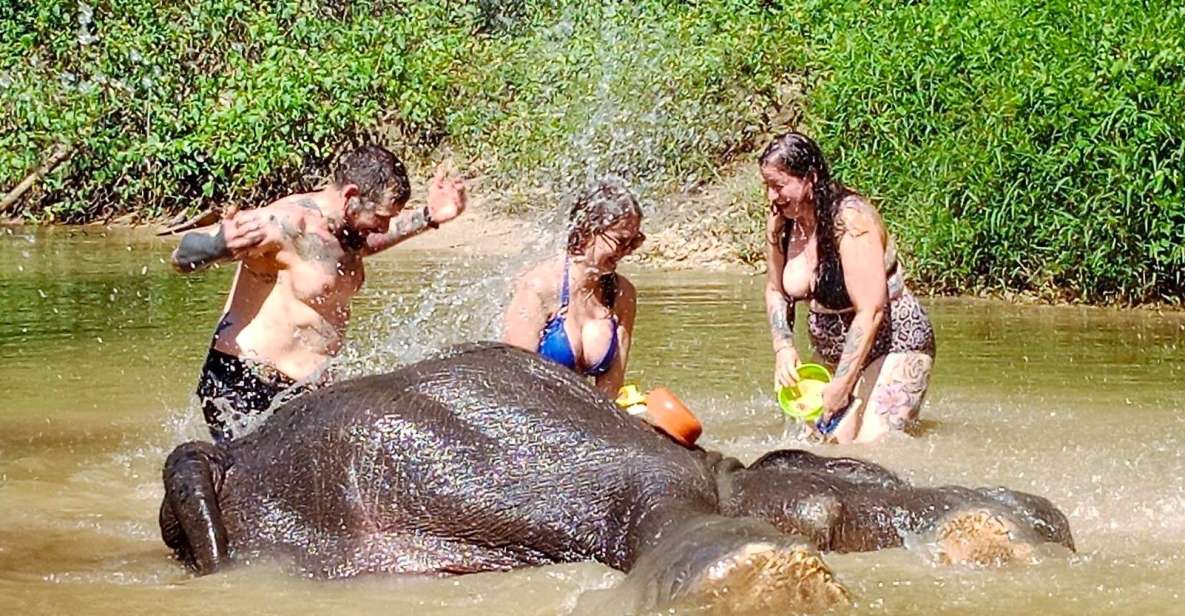 Khao Lak: Elephant Sanctuary Guided Tour - Transportation and Pickup/Drop-off