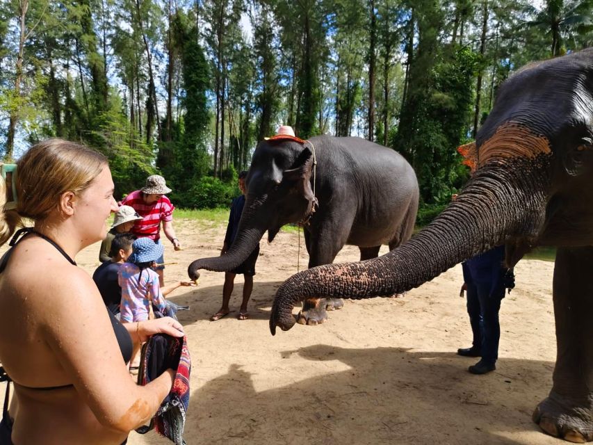 Khao Lak: Elephant Sanctuary Guided Tour - Booking Information and Policies
