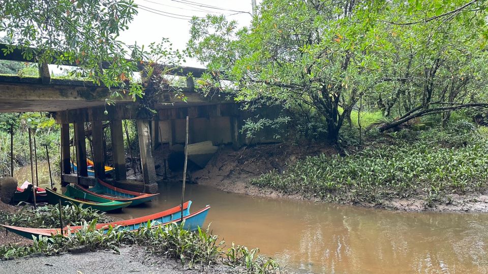 Khao Lak: Elephant Sanctuary Visit and Mangrove Kayak Tour - Key Points