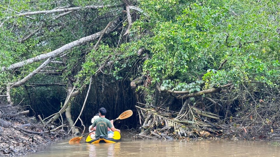 Khao Lak: Elephant Sanctuary Visit and Mangrove Kayak Tour - Lunch at Sanctuary