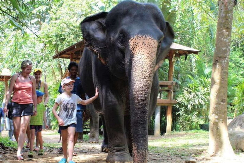 Khao Lak: Ethical Elephant Sanctuary Experience - Meet the Elephant Guides