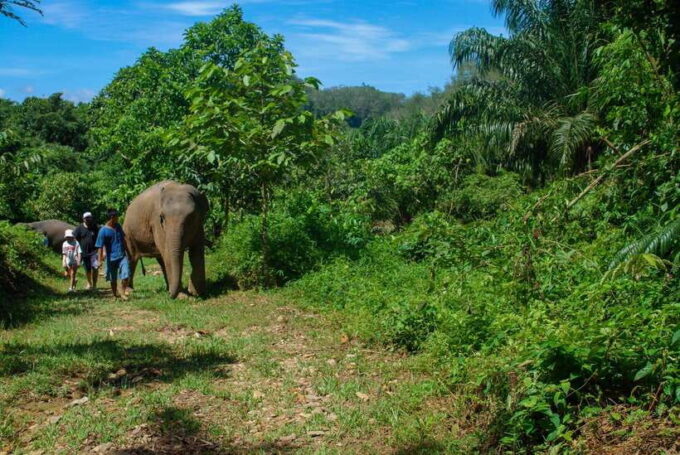Khao Lak: Ethical Elephant Sanctuary Experience - Preparing for Your Ethical Elephant Encounter